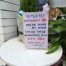 탑네일&브로우