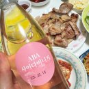 버들베리팜