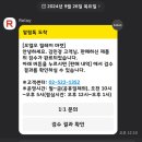 오엘오릴레이 OLO Relay 코오롱중고마켓 판매 후기