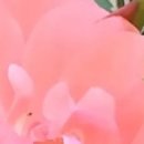 반포2동주민센터지하1층 이미지