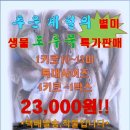 알배기 생물 도루묵 특가판매/4키로한상자 알도루묵 대사이즈 23,000원/도루묵요리,찌개,매운탕,구이. 이미지