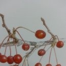 트러스트공인중개사사무소 이미지