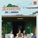 &#39;효리네 민박&#39; 2주 연장, 9월24일 종영한다 + 스페셜 방송 이미지