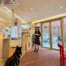 노나먹개 이미지