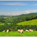 형제목장 이미지