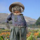 허수아비 이미지