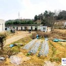 원요진농장 이미지