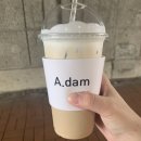 아담(A. DAM)