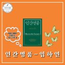 가톨릭대학교 문화영성대학원 | 인간명품 임하연 작가 에세이 인문학책추천