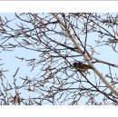 만석공원 이미지