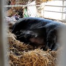 김재연농장 이미지