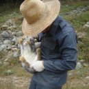 한림농장 이미지