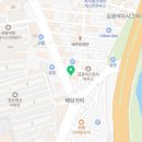 마스틴토콘체르토 이미지
