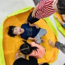 파티숑-청포물 이미지