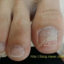 네일세상 이미지