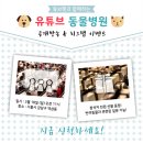동은동물병원 네이버블로그