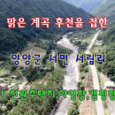 개울가 야영장 이미지