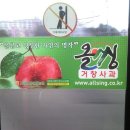 올씽