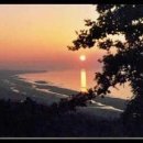 &#39;생명의 도약&#39;과 AI 시대 이미지