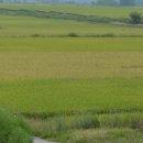 서덕들 화장실 이미지