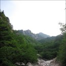 금호민박