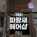 파랑새헤어샵