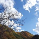 치산관광지 캠핑장 이미지