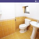 삼릉초등학교 이미지