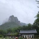 가지산약국 이미지