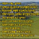 (출장개통 전문)울산 선불폰 신용불량자 핸드폰개통 바로 출장개통 완료!!