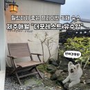 예그린펜션 | 제주시 애월 반려인의 마음까지 사로잡는 조용한 힐링 펜션 “더포레스트 유수암”