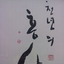 천년의홍삼