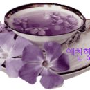 늘해봄 이미지