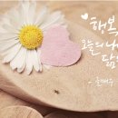 예쁜글씨캘리그라피 이미지