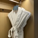 Brush | 부산여행 윈덤그랜드부산 5성급호텔 디럭스더블오션뷰 후기(내돈내산)