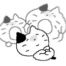 복희네한우특상등급 네이버블로그