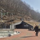 동굴식당 | 귀농 3년 차 영월 주민이 반한 찐 로컬 맛집-영월 고씨동굴 옆 강원토속식당 칡칼국수 솔직 후기