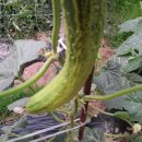 유익농장 이미지