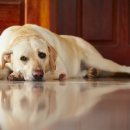 문현관앞 이미지