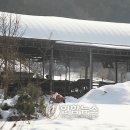 추동목장 이미지