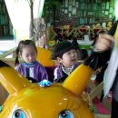 키즈팡팡 이미지