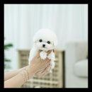 유앤미유치원 네이버블로그