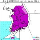 기상청"1994년 같은 기간 폭염&열대야 일수와 비교하면 이미 신기록 달성" 이미지