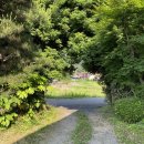 마상마을회관 | 방일교원단 Day 7,8｜홈스테이 후기(feat.일본가정식)