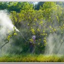 흥농종묘농약 이미지