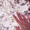 다올뷰티샵 이미지