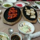 오늘은 힐링 이미지