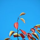 수향루 - 고성군 거탄진로 166 | 수향루