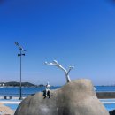 세파에 따르지    이미지