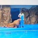 유영농장 | 설연휴 일산 가볼만한곳 실내 아이랑 일산 아쿠아플라넷 체험 꿀팁